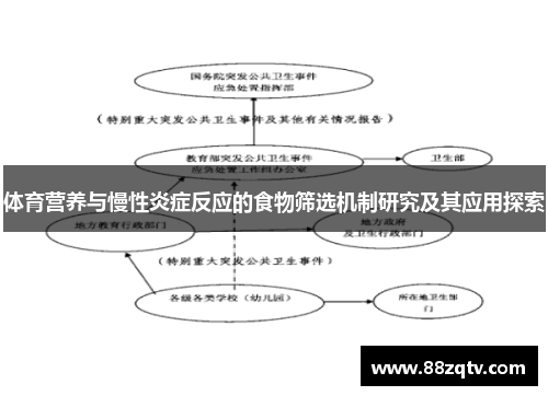 体育营养与慢性炎症反应的食物筛选机制研究及其应用探索